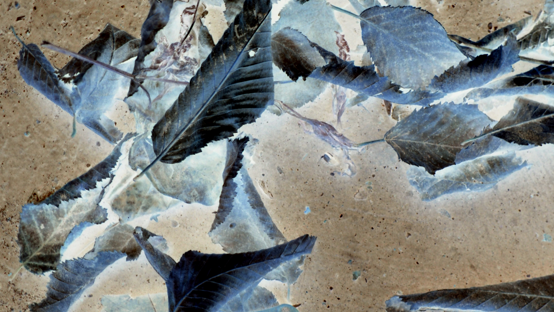 2021-01-30 Wasser in der Sple II (Remix John Cage 'Sonatas & Interludes', On-Off) (Komposition, Remix, Recording, Foto)